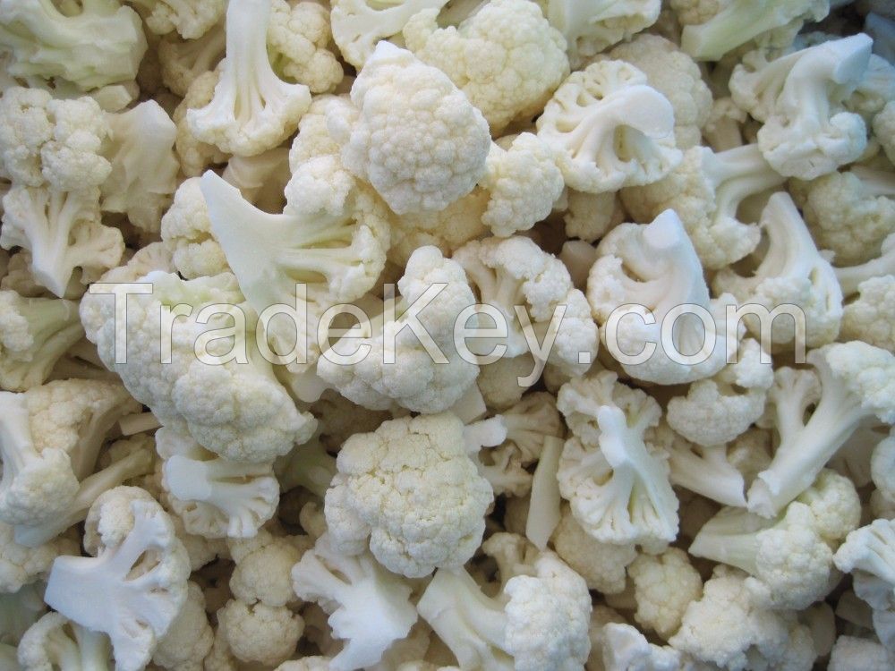  frozen vegetables IQF cauliflower 30-50 mm 