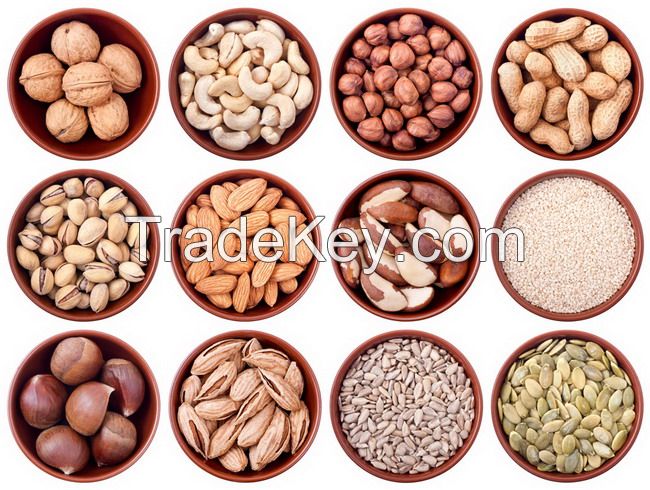 Apricot Kernels, Chestnuts, Pumpkin Kernels, Betel Nuts, Hazelnuts, Pine Nuts , Almond Nut Kernel , Wild Organic Pine Nuts , Cashew Nuts , Pine Nuts