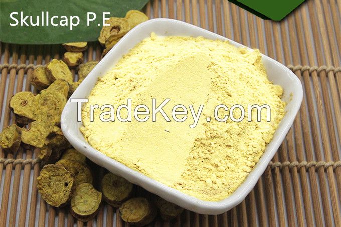 skullcap extract