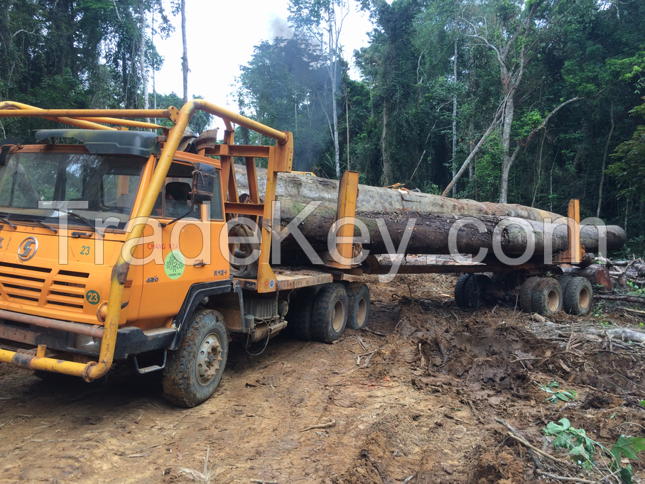 logging trailer, logging truck