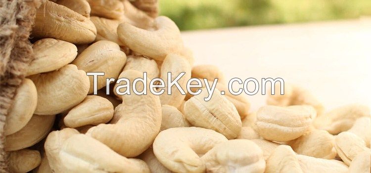 raw cashew nuts organic