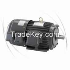 TECO Inverter Duty motor