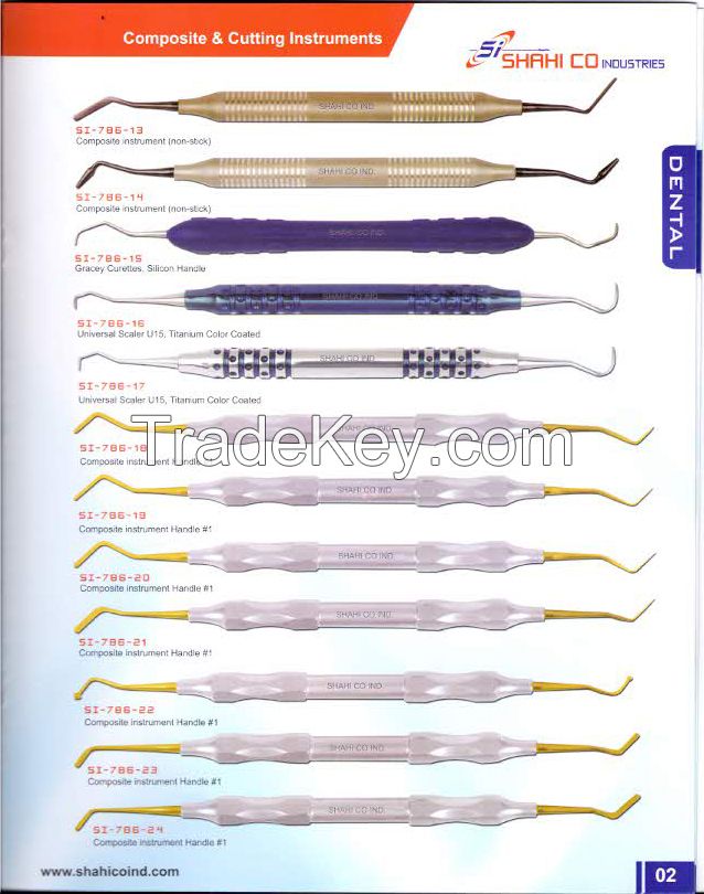 DENTAL INSTRUMENTS