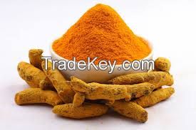 turmeric powder