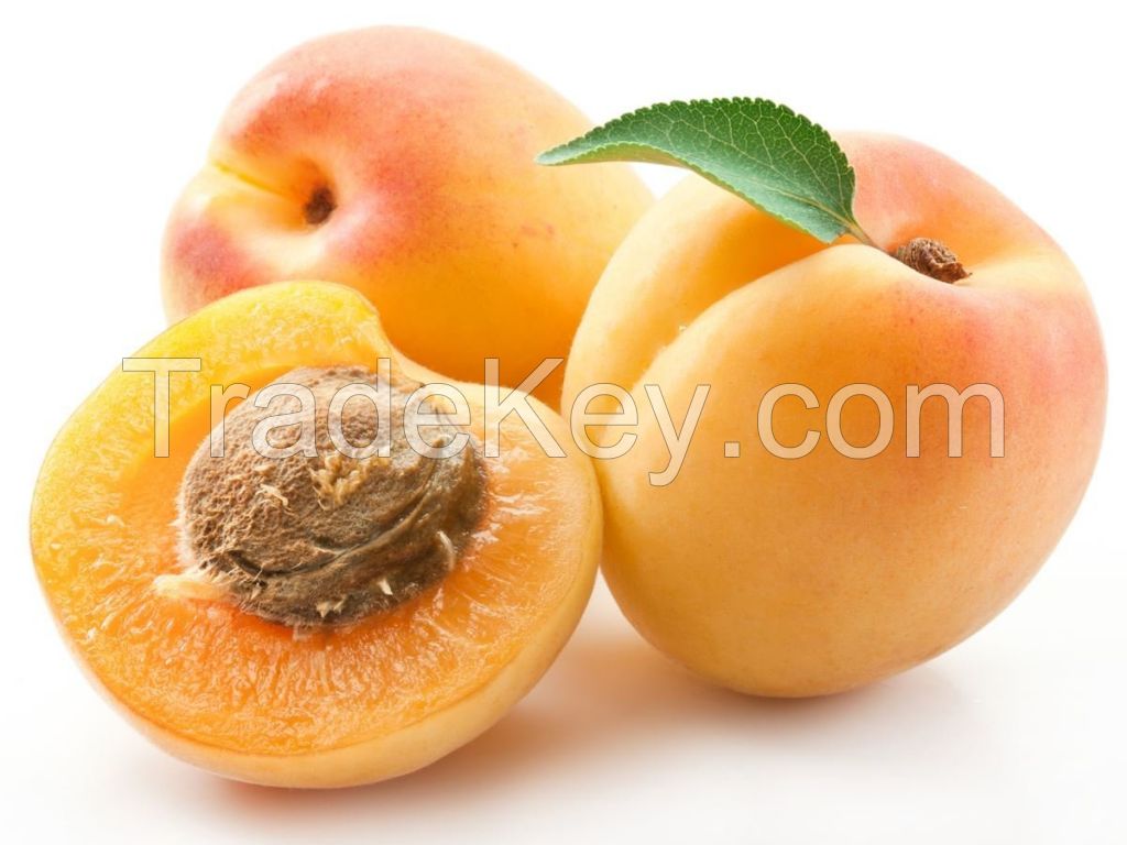 Apricot