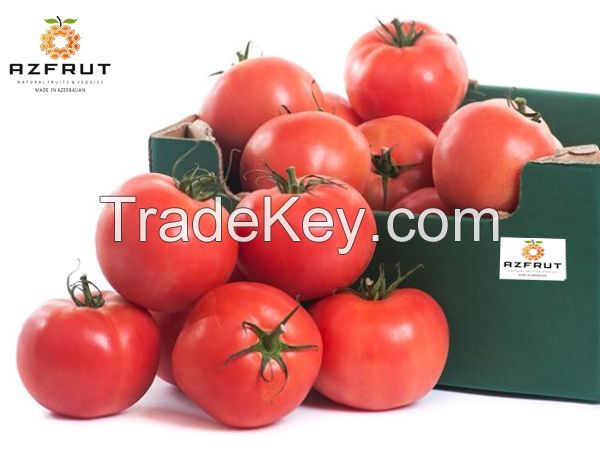High Quality Tomatoes