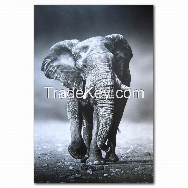 Animals digital prints on canvas wall decor at reasonable price