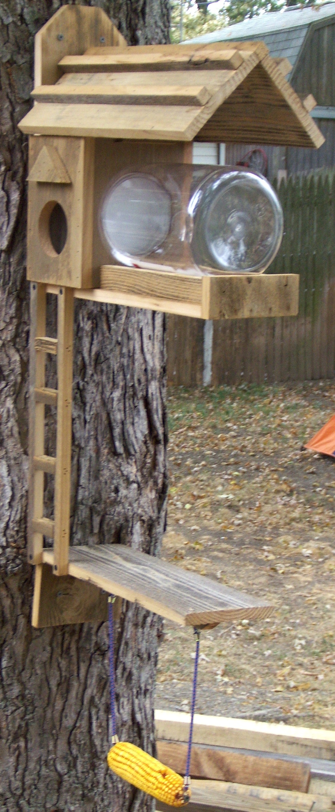 squirrel/ bird feeder/ladder/platform and bungie