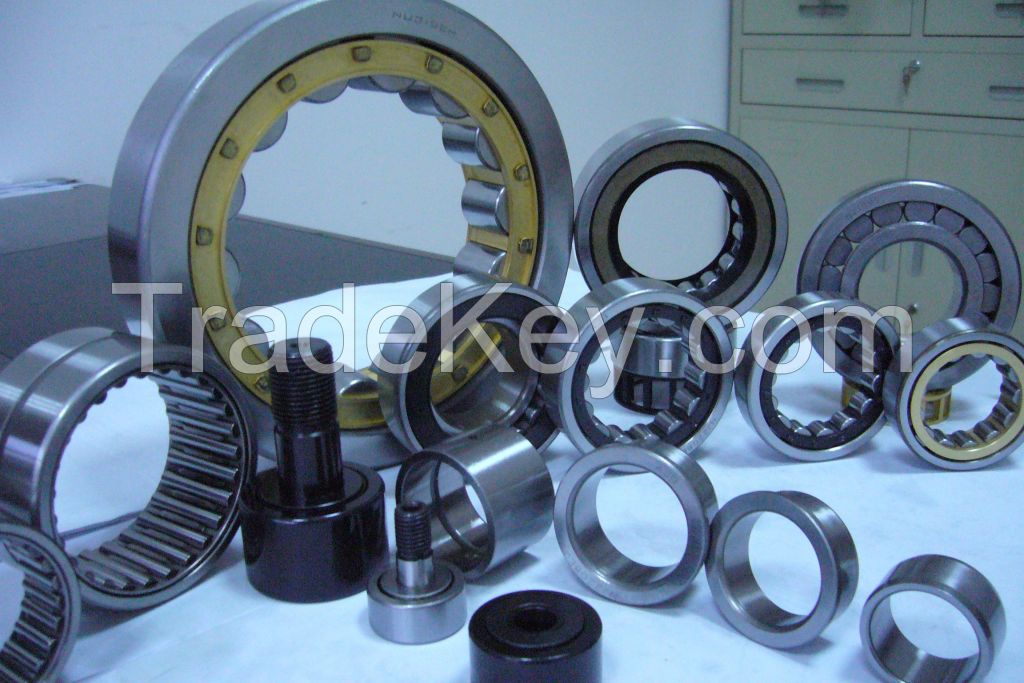 Electric motor bearing