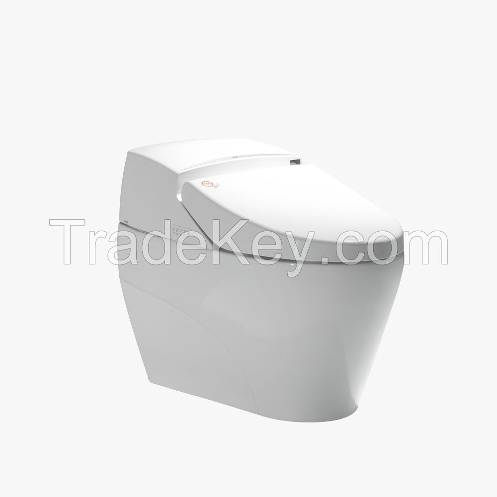 Water Closet Automatic Toilet Seat Electric luxury led Toilet Bidet