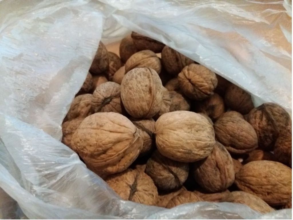 Walnuts in shell