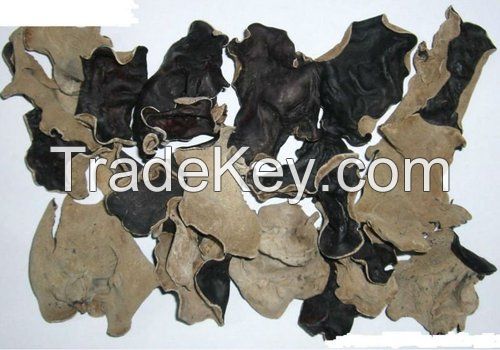 Straw Mushrooms with High Quality from Vietnam