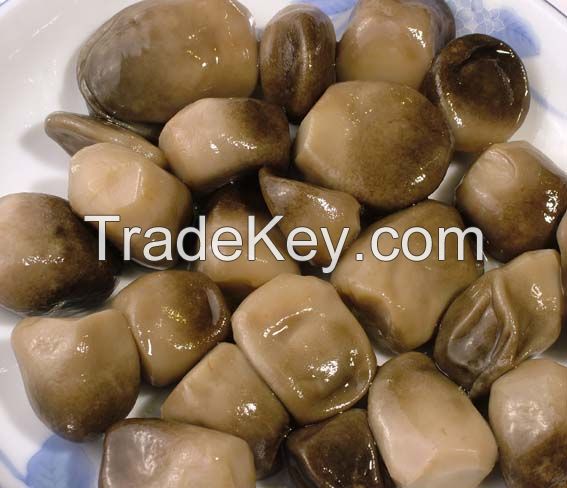 Straw Mushrooms with High Quality from Vietnam