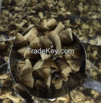 CANNED STRAW MUSHROOM IN BRINE