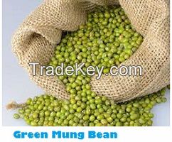 Green Mung Bean