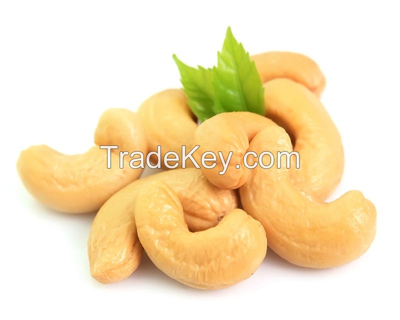 Cashew Nut