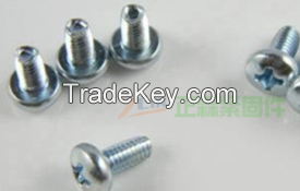 China Screw Manufacturer,Micro screws,PVD screws,CD Line screws,Nylok screws,Stainless Steel screws,Titanium alloys screws,Aluminum alloys screws,Inconel screws,Hexagon socket screws,Slotted screws,Glasses screws,Watch screws, Electronic screws,Precision 