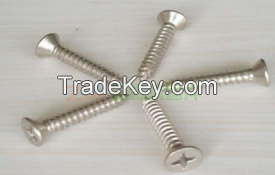 China Screw Manufacturer,Micro screws,PVD screws,CD Line screws,Nylok screws,Stainless Steel screws,Titanium alloys screws,Aluminum alloys screws,Inconel screws,Hexagon socket screws,Slotted screws,Glasses screws,Watch screws, Electronic screws,Precision 