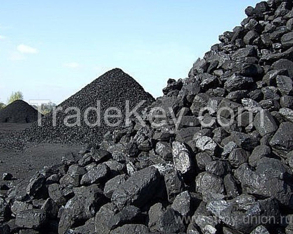 coal , anthracite coal , steam coal.