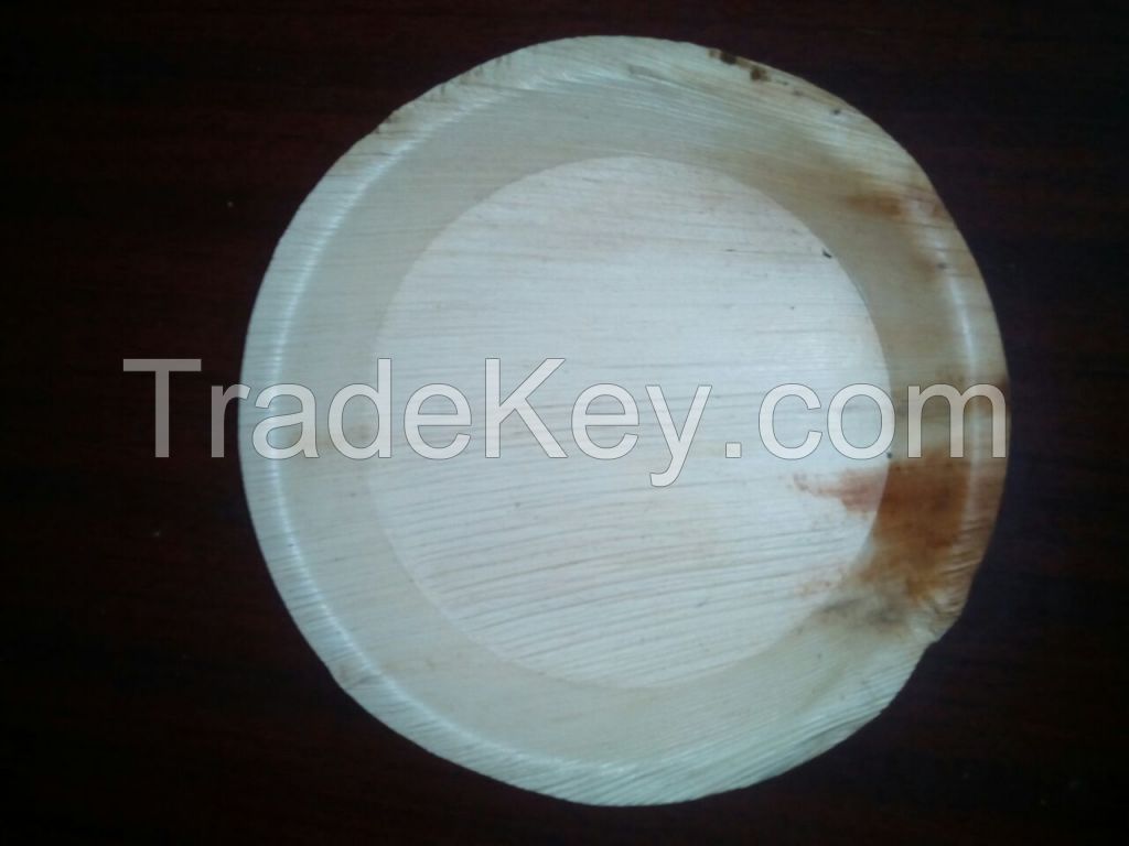 palm leaf plates and cup