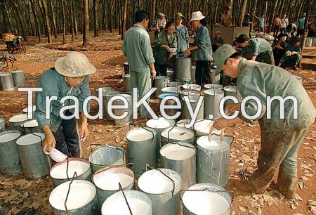 NATURAL RUBBER LATEX HA 60% DRC