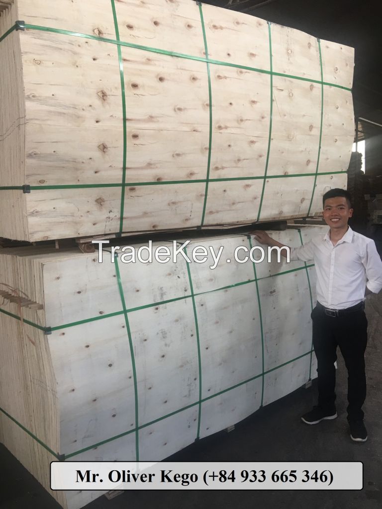 Cheap packing Plywood 2.0 mm grade BC - KEGO for Asia market