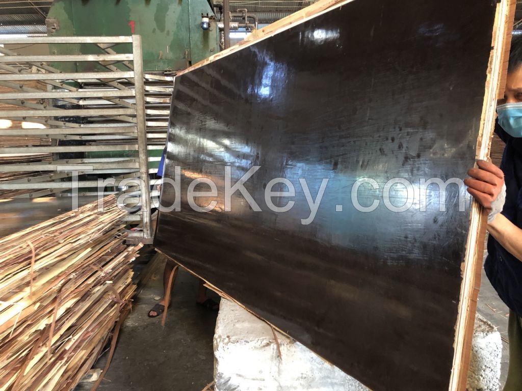 12mm Vietnamese Film Faced Plywood Water Proof