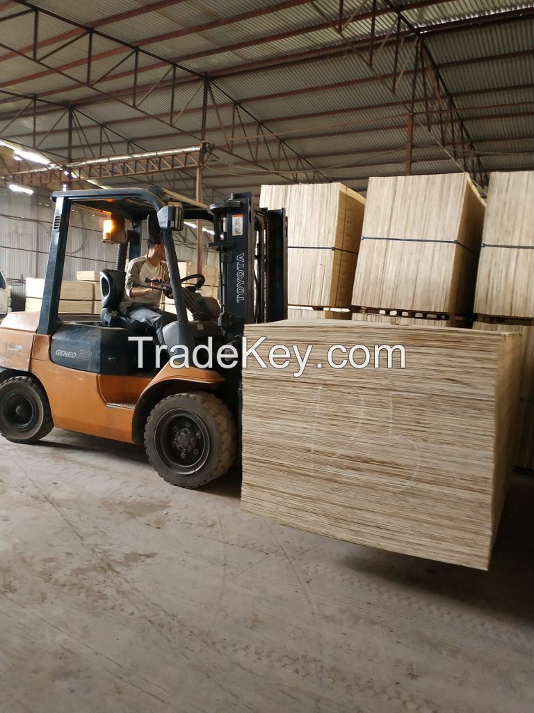 Packing Plywood 8/9/11MM KEGO VIETNAM