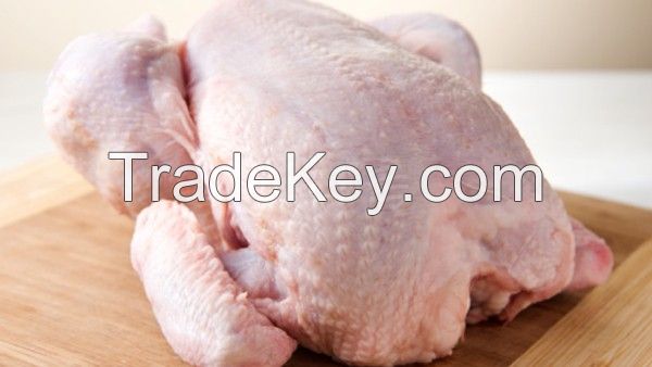 Halal Frozen whole Chicken