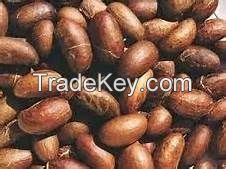 Cocoa Beans, Bitter Kola Nut, Fresh Ginger