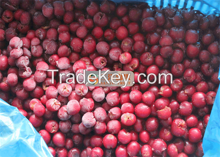 Frozen sour cherry frozen fruit