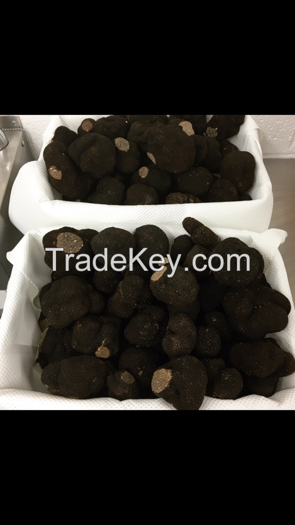  Fresh  truffles 