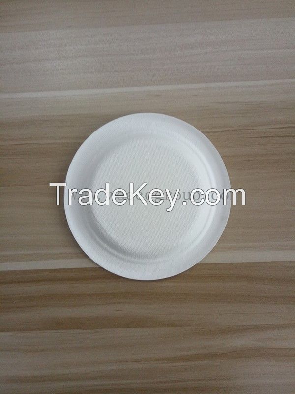 Environmentally bagasse Pulp Disposable plate