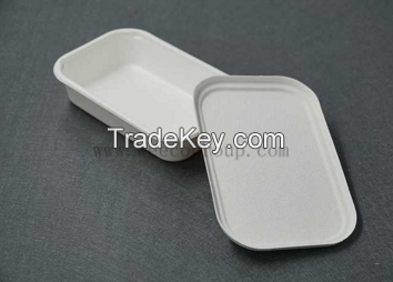 Disposable Biodegradable Tableware with bagasse Material
