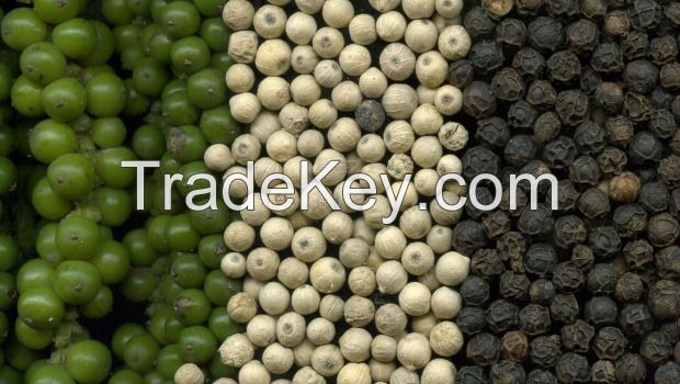 Top Quality White Pepper
