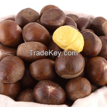 Chestnuts 