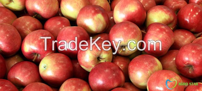 Idared apples