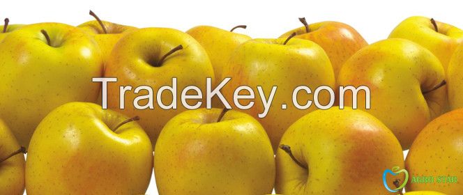 Golden delicious apples