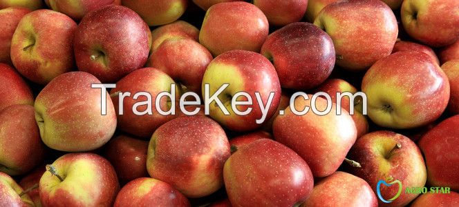 Gloster apples