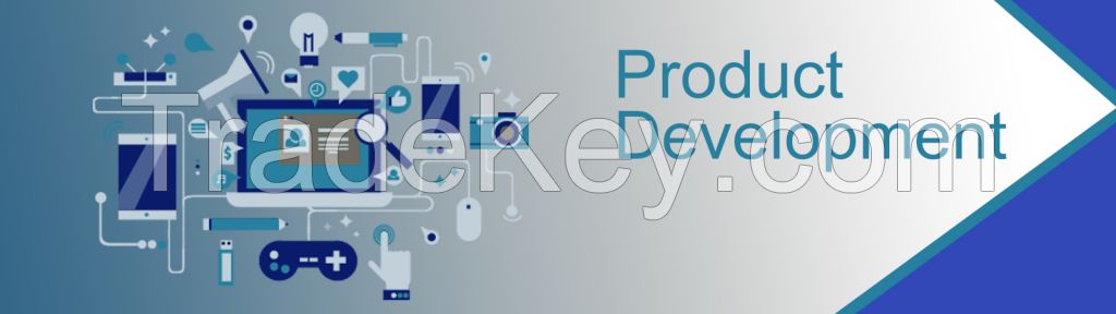 Software Development Company 