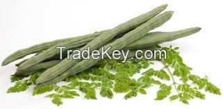 Moringa Leaves