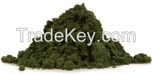 Spirulina powder 