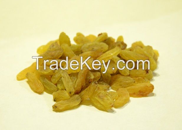 Afghani Black Raisins