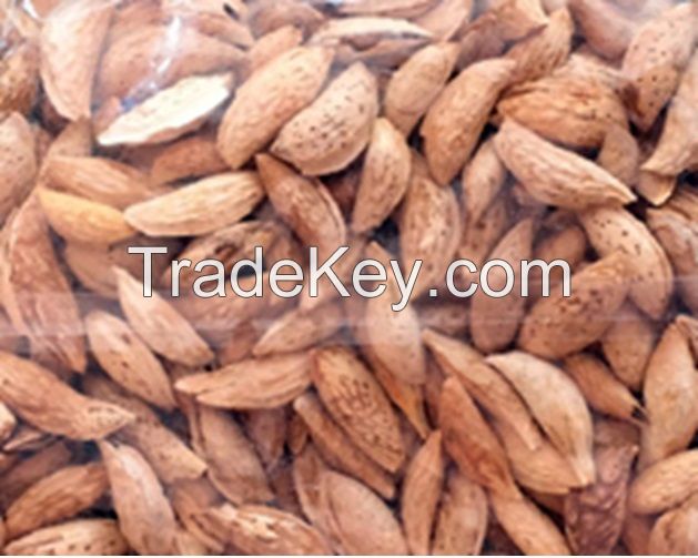 Afghani Almond without shell