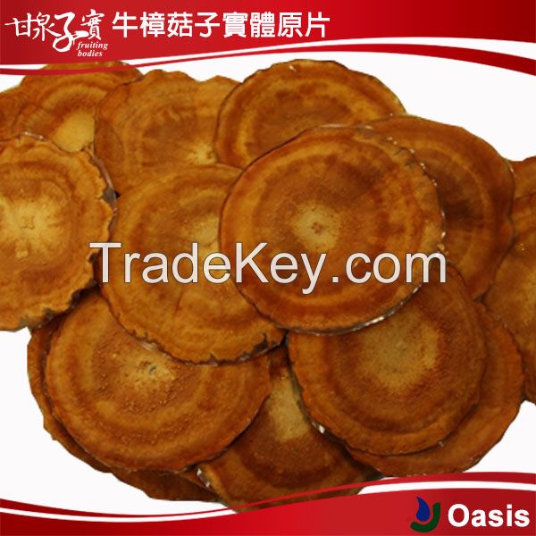 Taiwan Herbal Medicine Industry Produce Antrodia Cinnamomea