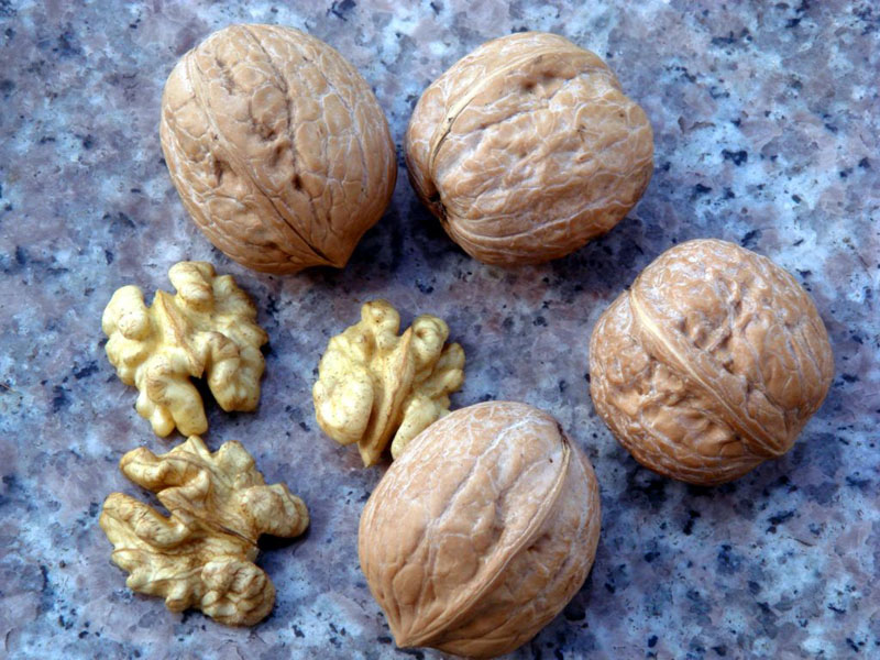 Walnut Kernels