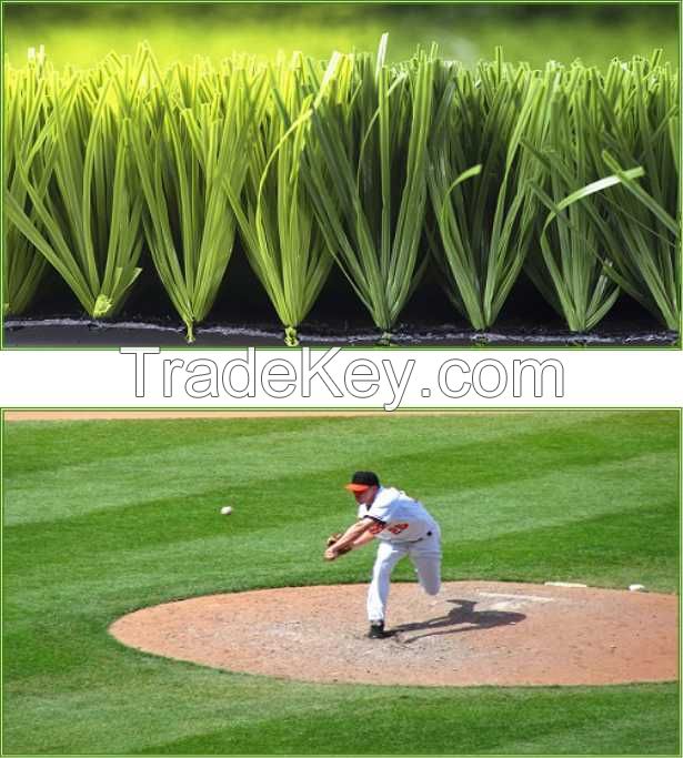 baseball grass