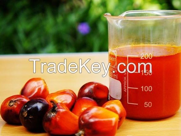 Red Palm Oil