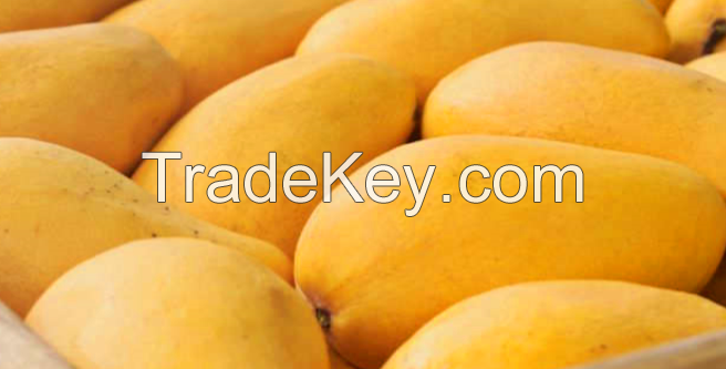 Mangoes