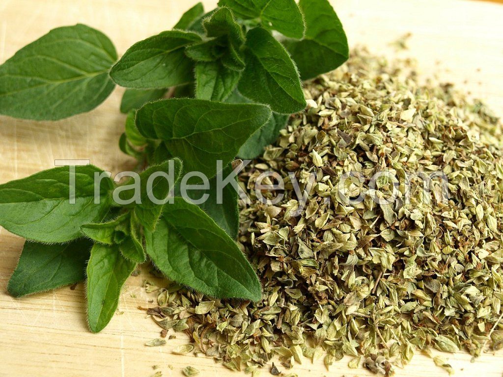 Oregano